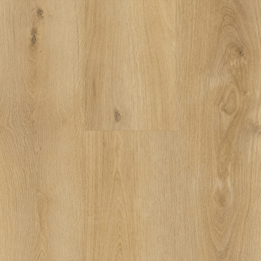 Aspire RCB Hybrid XL