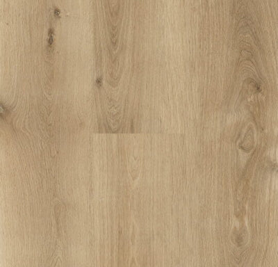 Product / Chicory