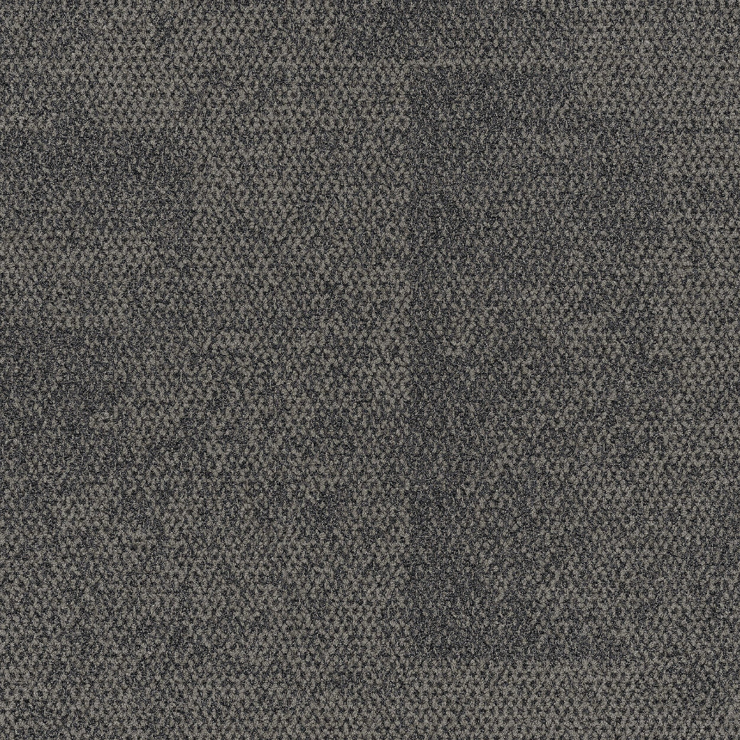 Interface Open Air Neutrals 404