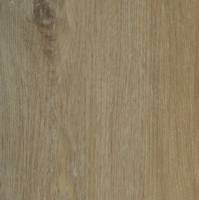 Default Title