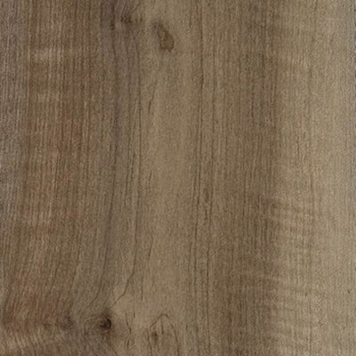 Desert Spotted Gum