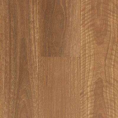 Product / QLD Spotted Gum