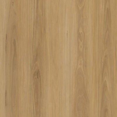 Coastal Blackbutt